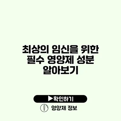 최상의 임신을 위한 필수 영양제 성분 알아보기