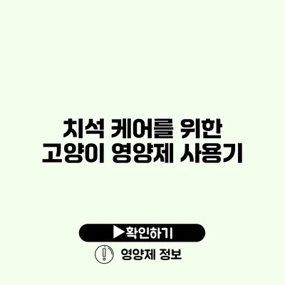 치석 케어를 위한 고양이 영양제 사용기