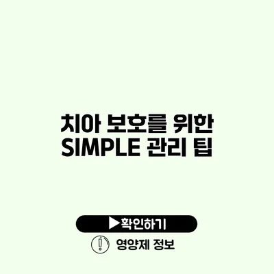 치아 보호를 위한 SIMPLE 관리 팁