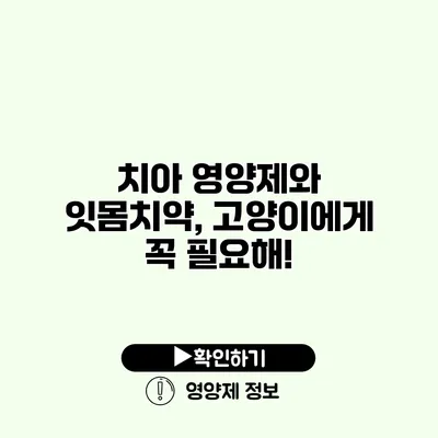 치아 영양제와 잇몸치약, 고양이에게 꼭 필요해!