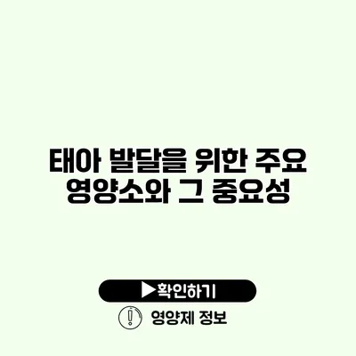 태아 발달을 위한 주요 영양소와 그 중요성