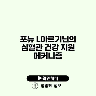 포뉴 L아르기닌의 심혈관 건강 지원 메커니즘