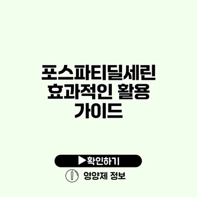 포스파티딜세린 효과적인 활용 가이드