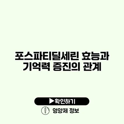 포스파티딜세린 효능과 기억력 증진의 관계