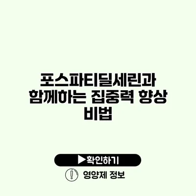 포스파티딜세린과 함께하는 집중력 향상 비법