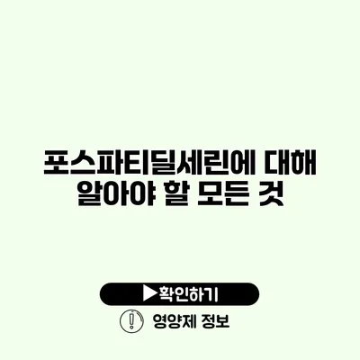 포스파티딜세린에 대해 알아야 할 모든 것