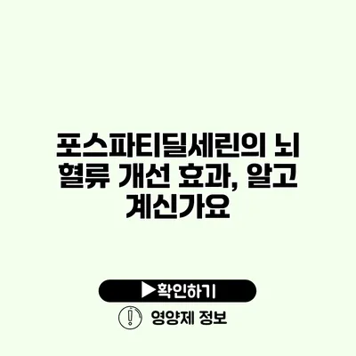 포스파티딜세린의 뇌 혈류 개선 효과, 알고 계신가요?