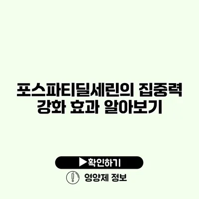 포스파티딜세린의 집중력 강화 효과 알아보기