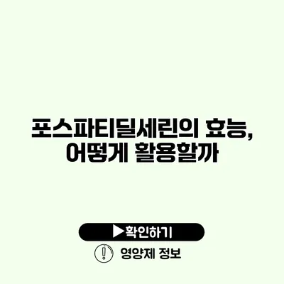 포스파티딜세린의 효능, 어떻게 활용할까?