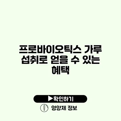 프로바이오틱스 가루 섭취로 얻을 수 있는 혜택