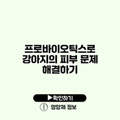 프로바이오틱스로 강아지의 피부 문제 해결하기