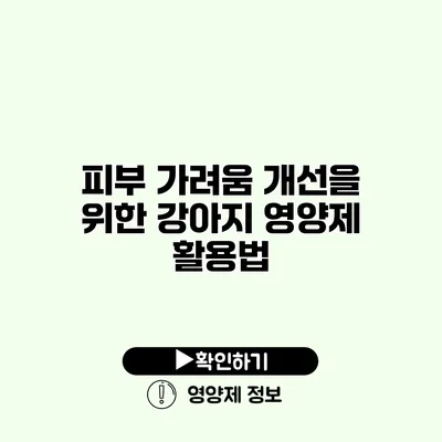 피부 가려움 개선을 위한 강아지 영양제 활용법