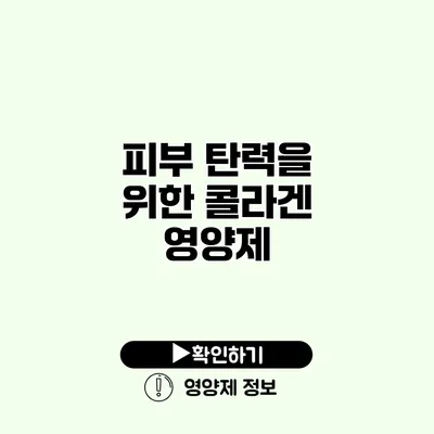 피부 탄력을 위한 콜라겐 영양제