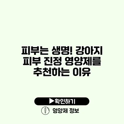 피부는 생명! 강아지 피부 진정 영양제를 추천하는 이유