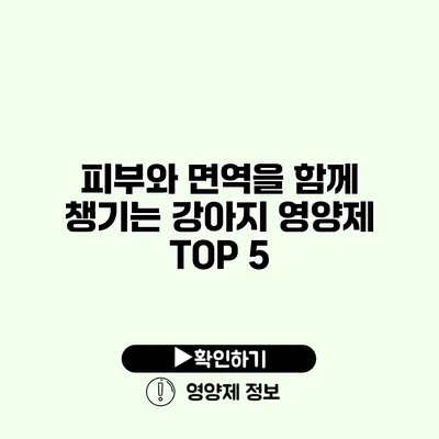 피부와 면역을 함께 챙기는 강아지 영양제 TOP 5