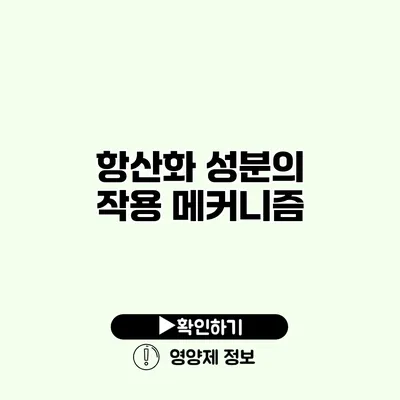 항산화 성분의 작용 메커니즘