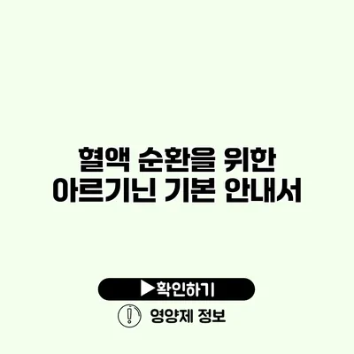 혈액 순환을 위한 아르기닌 기본 안내서