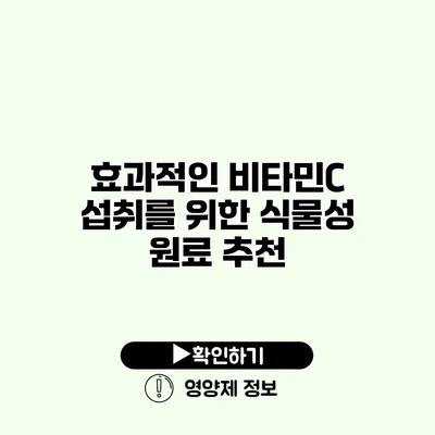 효과적인 비타민C 섭취를 위한 식물성 원료 추천