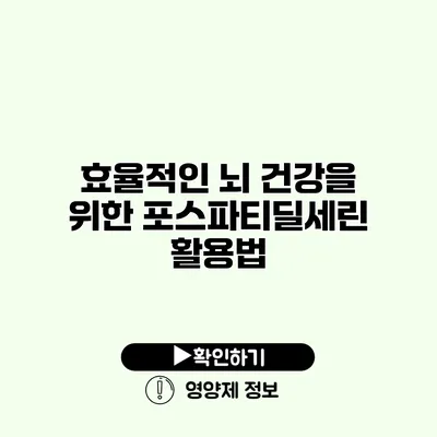 효율적인 뇌 건강을 위한 포스파티딜세린 활용법