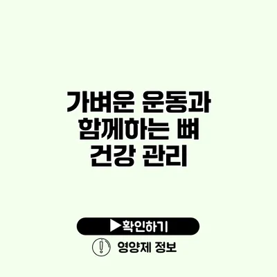 가벼운 운동과 함께하는 뼈 건강 관리