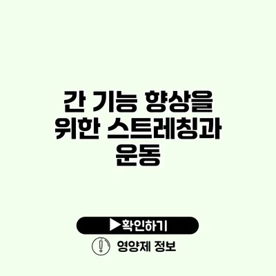 간 기능 향상을 위한 스트레칭과 운동