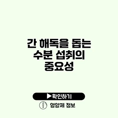 간 해독을 돕는 수분 섭취의 중요성