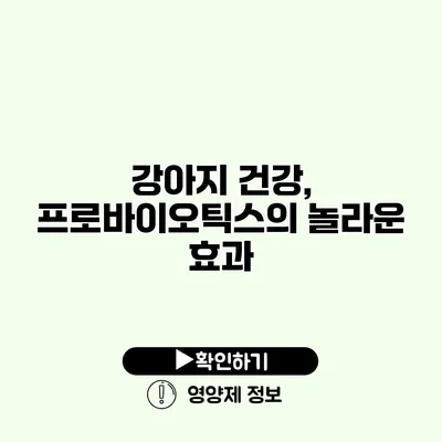 강아지 건강, 프로바이오틱스의 놀라운 효과