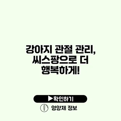 강아지 관절 관리, 씨스팡으로 더 행복하게! 강아지 관절 관리, 씨스팡으로 더 행복하게!