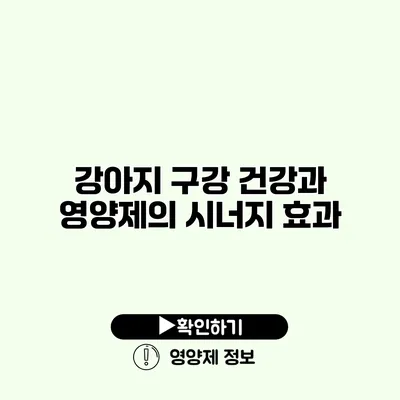 강아지 구강 건강과 영양제의 시너지 효과