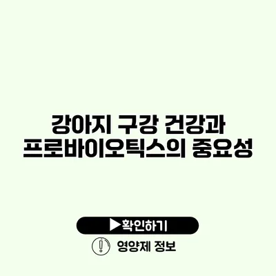 강아지 구강 건강과 프로바이오틱스의 중요성