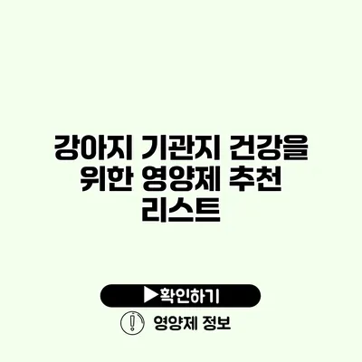 강아지 기관지 건강을 위한 영양제 추천 리스트