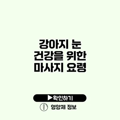 강아지 눈 건강을 위한 마사지 요령