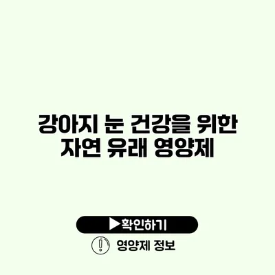 강아지 눈 건강을 위한 자연 유래 영양제