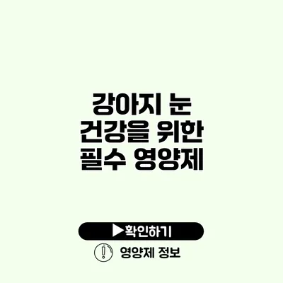 강아지 눈 건강을 위한 필수 영양제