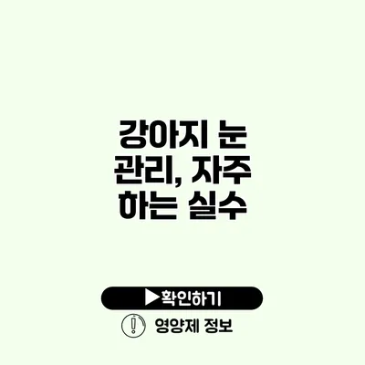 강아지 눈 관리, 자주 하는 실수