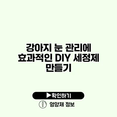 강아지 눈 관리에 효과적인 DIY 세정제 만들기