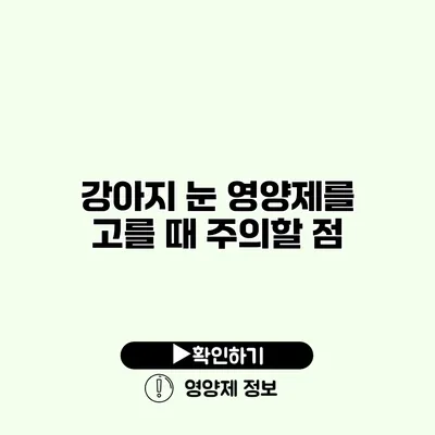 강아지 눈 영양제를 고를 때 주의할 점