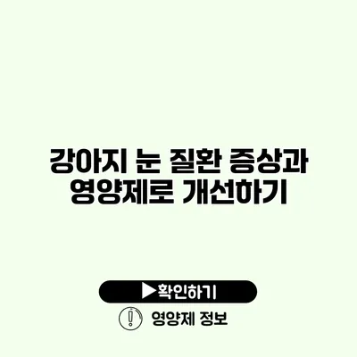 강아지 눈 질환 증상과 영양제로 개선하기