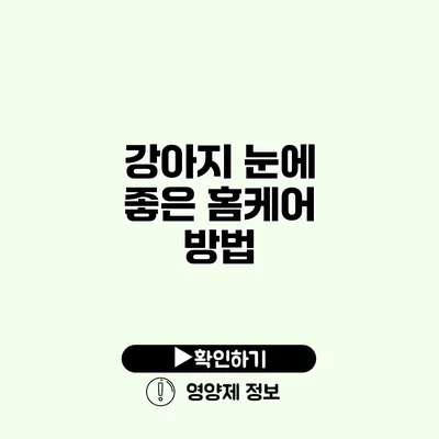 강아지 눈에 좋은 홈케어 방법