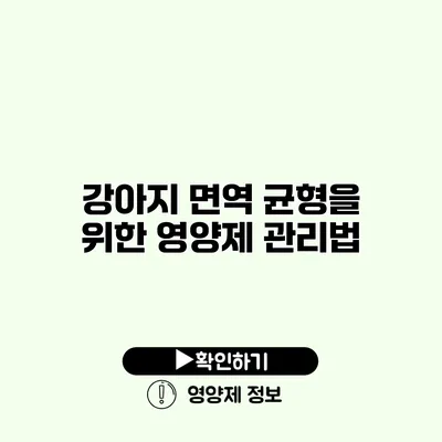 강아지 면역 균형을 위한 영양제 관리법