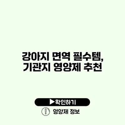 강아지 면역 필수템, 기관지 영양제 추천