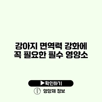 강아지 면역력 강화에 꼭 필요한 필수 영양소