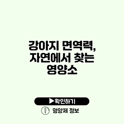 강아지 면역력, 자연에서 찾는 영양소