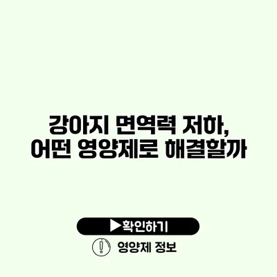 강아지 면역력 저하, 어떤 영양제로 해결할까?