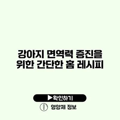 강아지 면역력 증진을 위한 간단한 홈 레시피