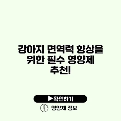 강아지 면역력 향상을 위한 필수 영양제 추천!