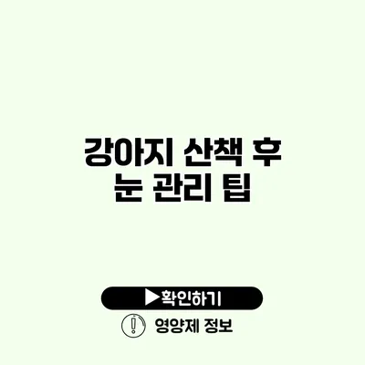 강아지 산책 후 눈 관리 팁