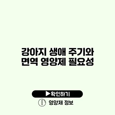 강아지 생애 주기와 면역 영양제 필요성