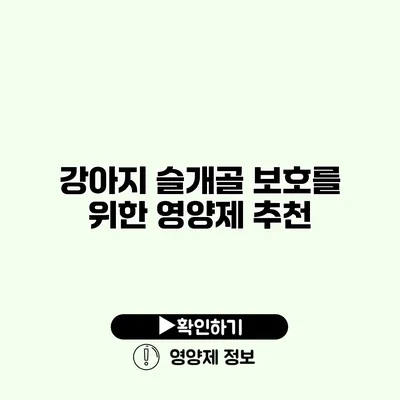 강아지 슬개골 보호를 위한 영양제 추천