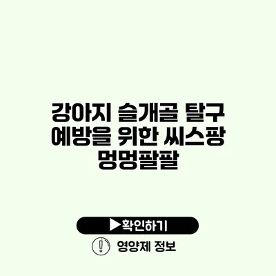 강아지 슬개골 탈구 예방을 위한 씨스팡 멍멍팔팔